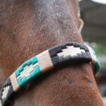 Jáquima argentina – caballo ecuestre –