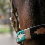 Jáquima argentina – caballo ecuestre – 7