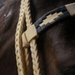 Jáquima argentina – caballo ecuestre – 8