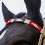 Jáquima argentina – caballo ecuestre – roja – 10