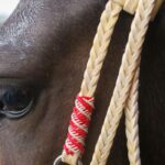 Jáquima argentina – caballo ecuestre – roja – 13
