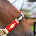 Jáquima argentina – caballo ecuestre – roja – 2