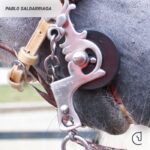 Freno maestro – Pablo Saldarriaga – Caballo ecuestre -8
