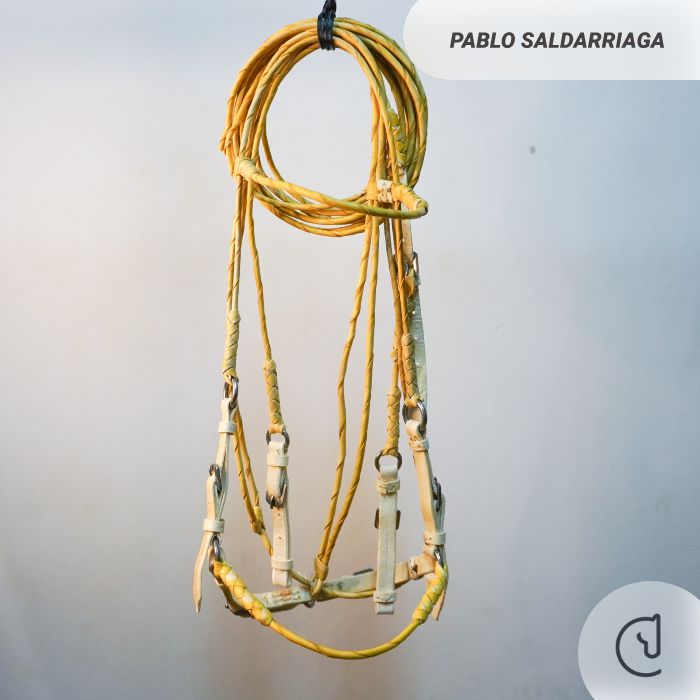 Jáquima en rejo – Pablo Saldarriaga – caballo ecuestre-4