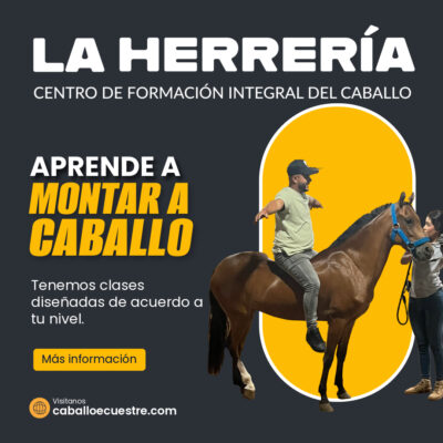 APRENDER A MONTAR-1-Post APRENDER A MONTAR-1-Post