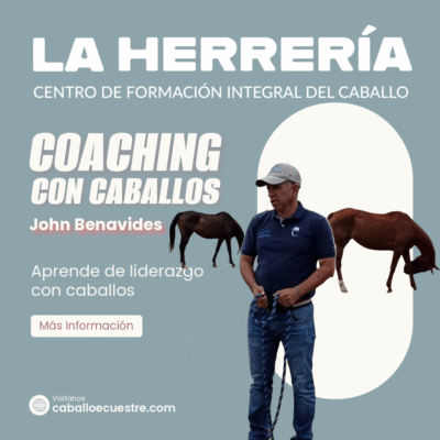 COACHING-1-Post COACHING-1-Post