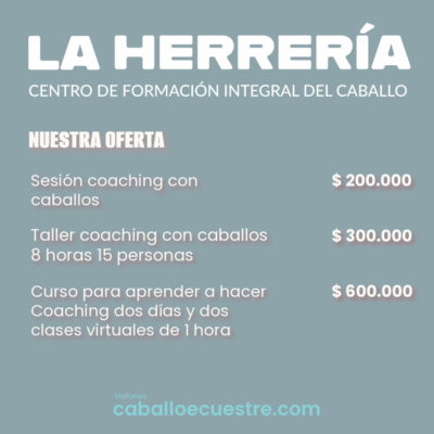 COACHING-2-Post COACHING-2-Post