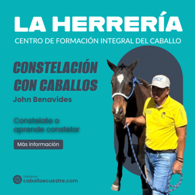 COSTELACION CON CABALLOS-1-Post COSTELACION CON CABALLOS-1-Post