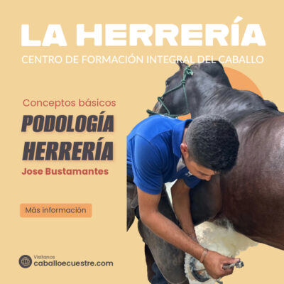 HERRERIA-1-Post HERRERIA-1-Post