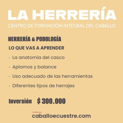 HERRERIA-2-Post HERRERIA-2-Post