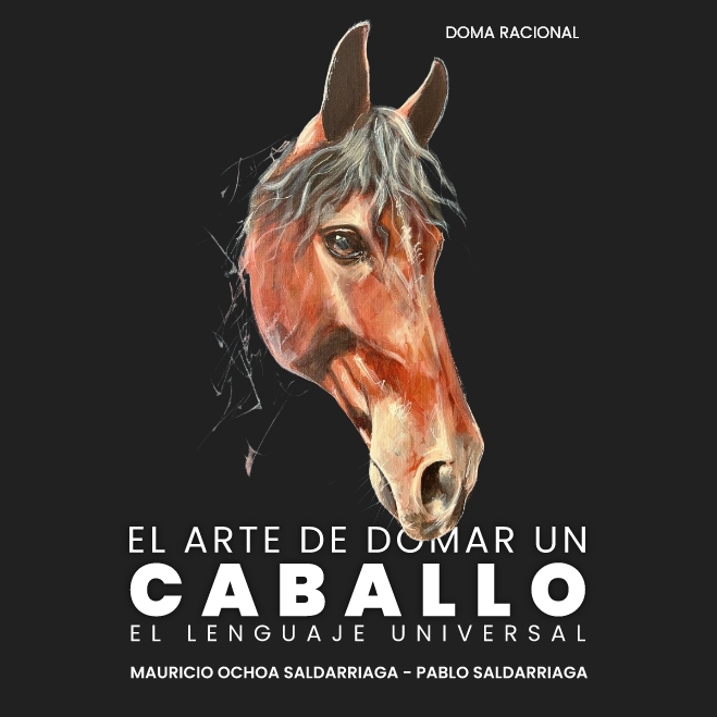 EL ARTE DE DOMAR UN CABALLO